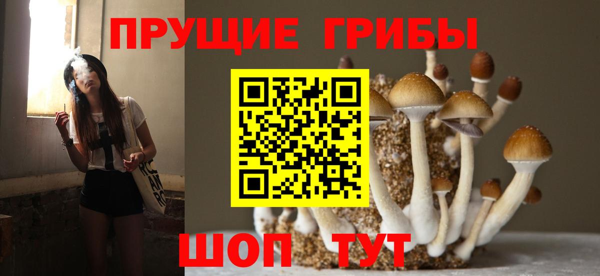 Галлюциногенные грибы мицелий Дедовск