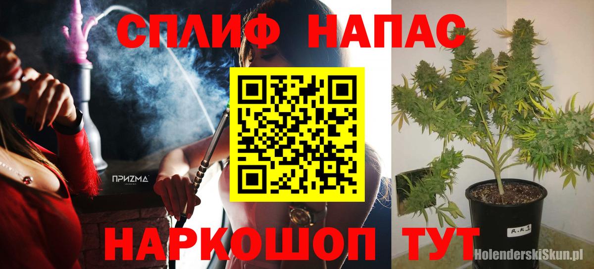 Каннабис AK-47 Дедовск